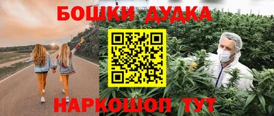 прущие грибы Камышлов