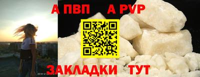 прущие грибы Камышлов