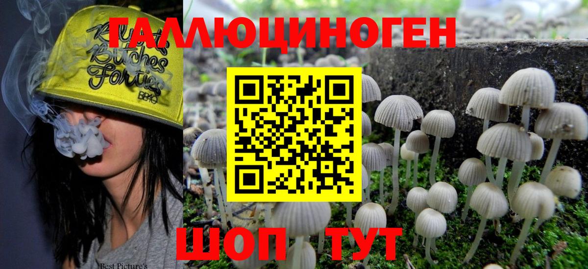 Псилоцибиновые грибы GOLDEN TEACHER Королёв